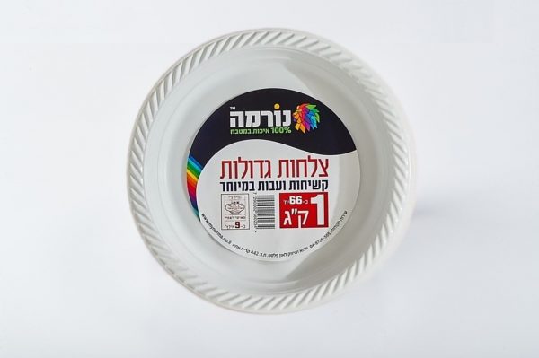 צלחות חד פעמיות גדולות